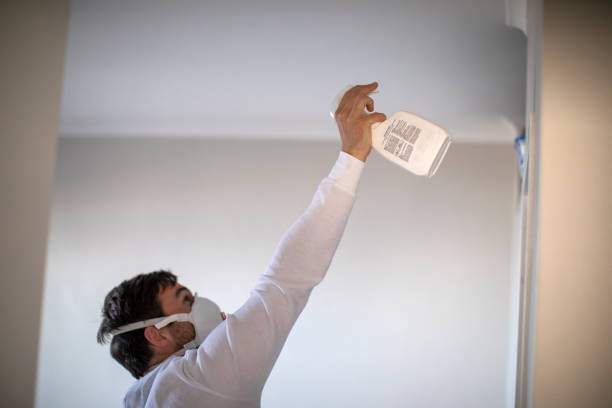 Professional Mold Remediation in Stinnett, TX