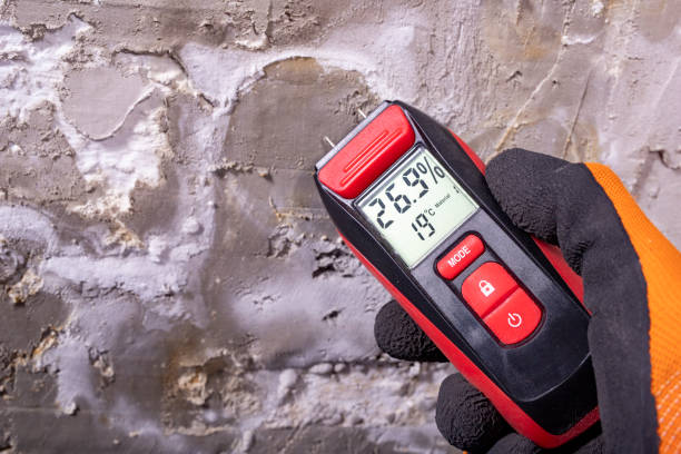 Best Bathroom Mold Remediation in Stinnett, TX